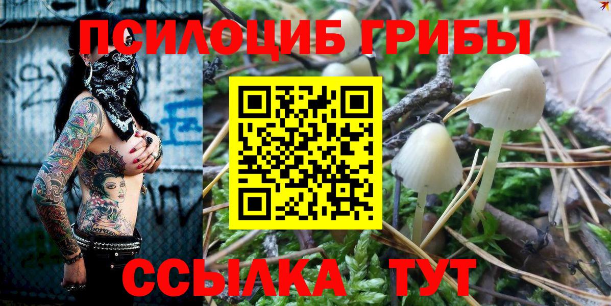 Великие Луки  Галлюциногенные грибы MAGIC MUSHROOMS  Вход с VPN 